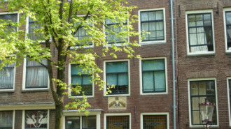 WikiMedia
