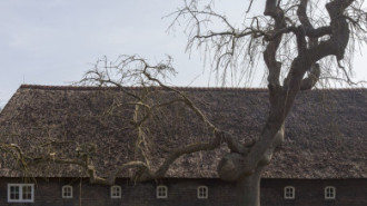 Rijksdienst voor het Cultureel Erfgoed: Sar, Wouter van der