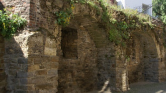 WikiMedia