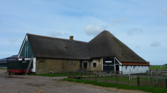 WikiMedia