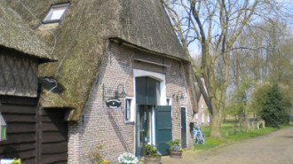 WikiMedia