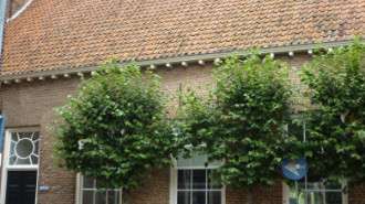 WikiMedia
