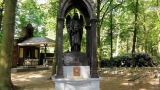 WikiMedia