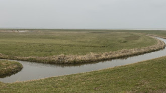 Rijksdienst voor het Cultureel Erfgoed: Bogers, Guido