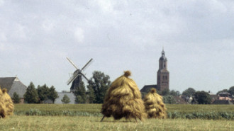 Rijksdienst voor het Cultureel Erfgoed