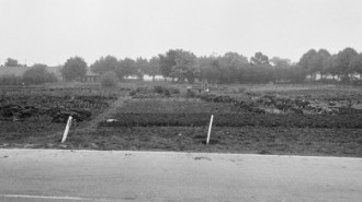 Rijksdienst voor het Cultureel Erfgoed: Galen, P. van