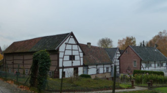 WikiMedia
