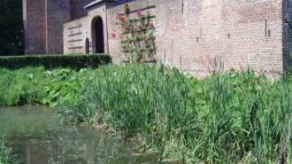 WikiMedia