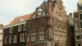 WikiMedia
