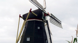 WikiMedia