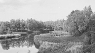Rijksdienst voor het Cultureel Erfgoed: Tangel, L.M.