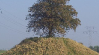 WikiMedia