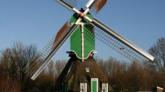 WikiMedia