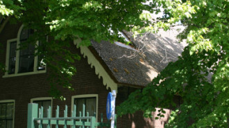 WikiMedia
