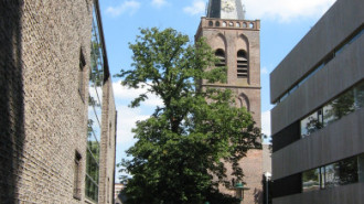 WikiMedia