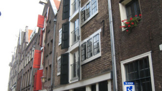 WikiMedia