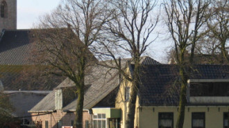 WikiMedia