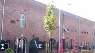 WikiMedia