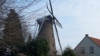 WikiMedia