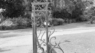 Rijksdienst voor het Cultureel Erfgoed: Heins, IJ.Th.