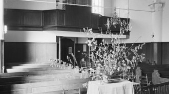 Rijksdienst voor het Cultureel Erfgoed: Tangel, L.M.