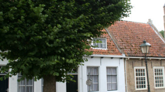 WikiMedia