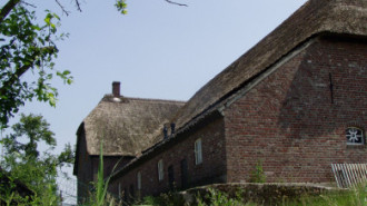 WikiMedia