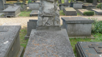WikiMedia