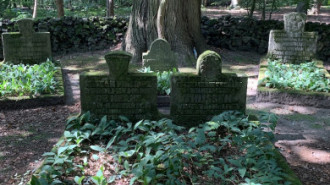 WikiMedia