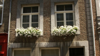 WikiMedia