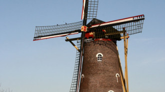 WikiMedia