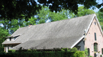 WikiMedia
