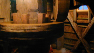 Rijksdienst voor het Cultureel Erfgoed: Terpstra, Frank