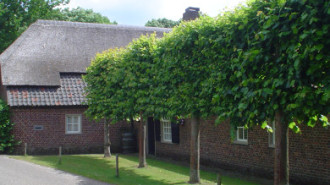 WikiMedia