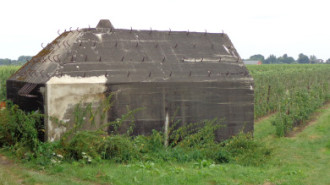 WikiMedia