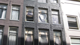 WikiMedia