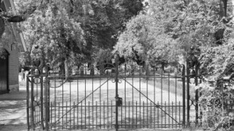 Rijksdienst voor het Cultureel Erfgoed: Galen, P. (Paul) van