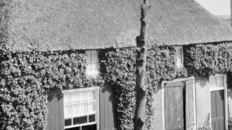 Rijksdienst voor het Cultureel Erfgoed: Wal, A.J. van der