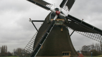 WikiMedia