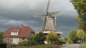 WikiMedia