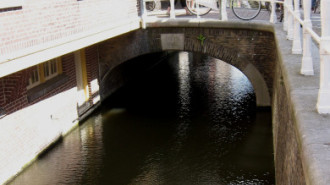 WikiMedia