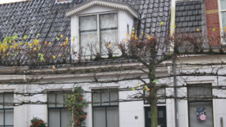 WikiMedia