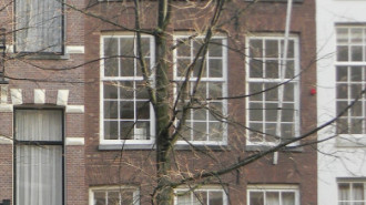 WikiMedia