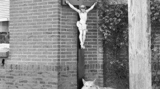 Rijksdienst voor het Cultureel Erfgoed: Delemarre, G.Th.