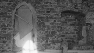 Rijksdienst voor het Cultureel Erfgoed: Berghuis, W.J.