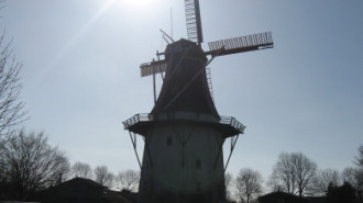 WikiMedia