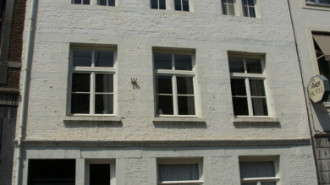 WikiMedia