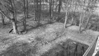 Rijksdienst voor het Cultureel Erfgoed: Wal, A.J. van der