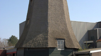 WikiMedia