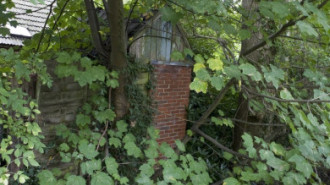 Rijksdienst voor het Cultureel Erfgoed: Booms, C.S. (Chris)